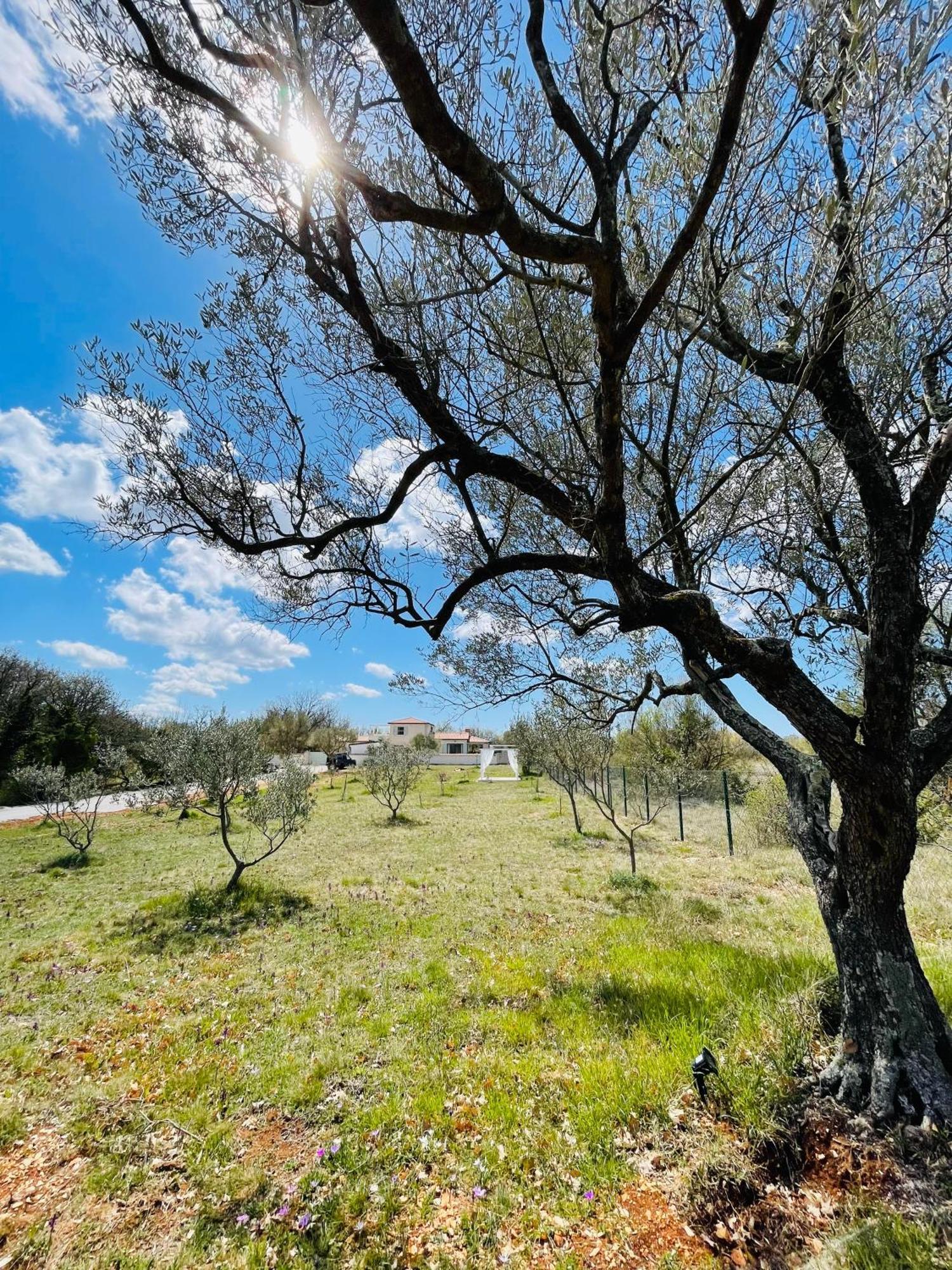 Luxury Villa In Istria - 9,000 Sqm Private Estate With Pool & Sauna, 15 Min To Sea, Near Fazana, 3 Bedrooms Juršići Zewnętrze zdjęcie