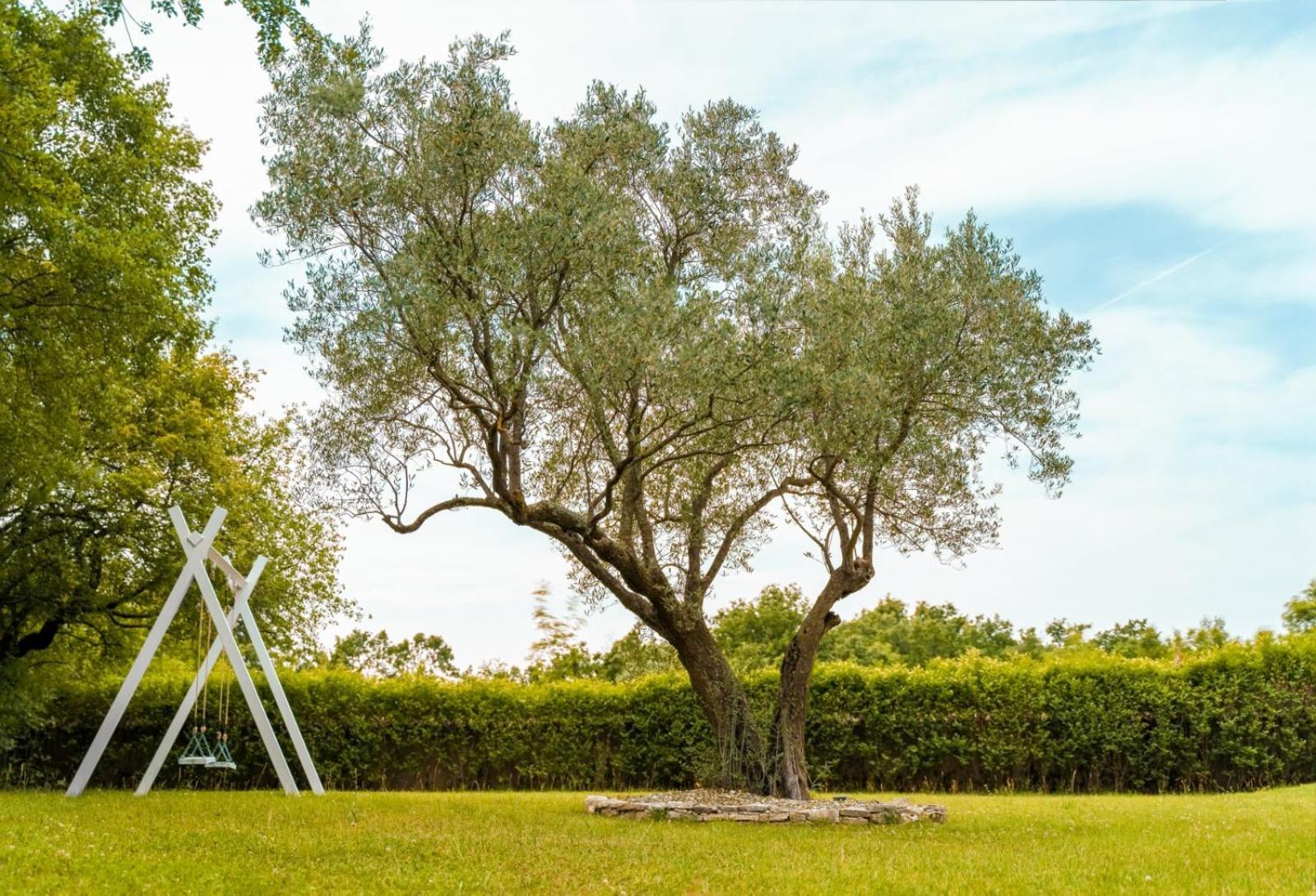 Luxury Villa In Istria - 9,000 Sqm Private Estate With Pool & Sauna, 15 Min To Sea, Near Fazana, 3 Bedrooms Juršići Zewnętrze zdjęcie